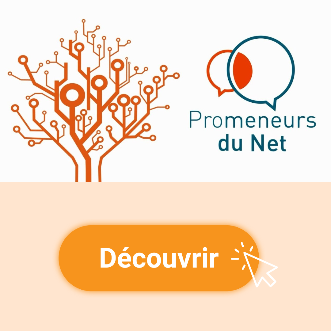 Promeneurs du net