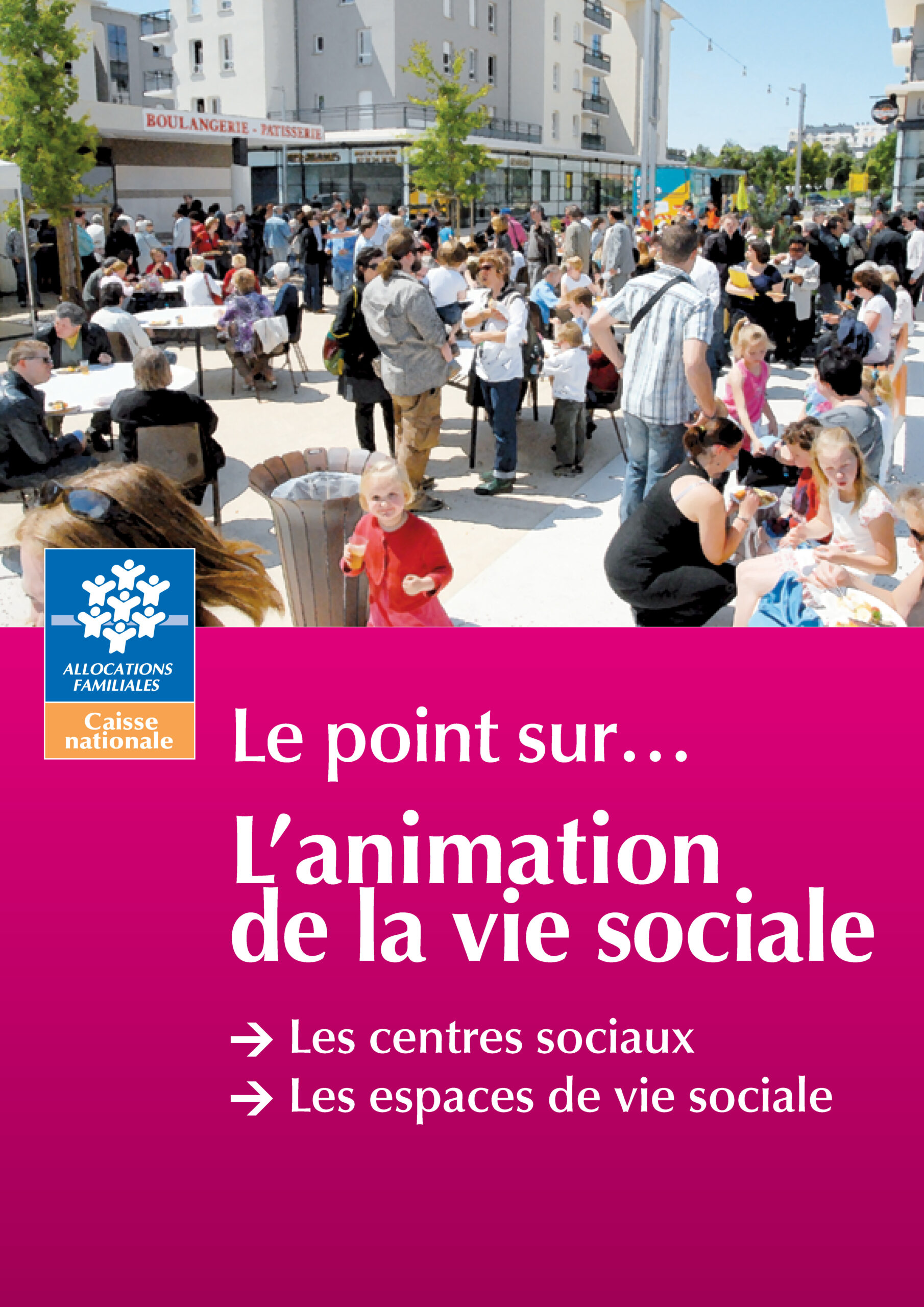 animation de la vie sociale